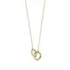 necklace-2-1@1x-pichi