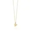 necklace-3-1@1x-pichi